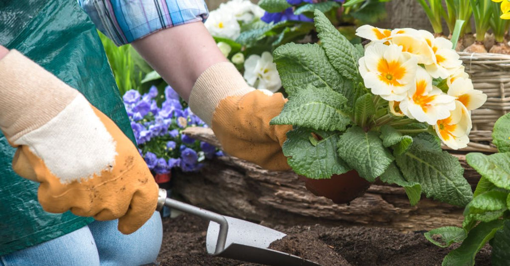 How Gardening Can Help Reduce Stress in Radiation Patients