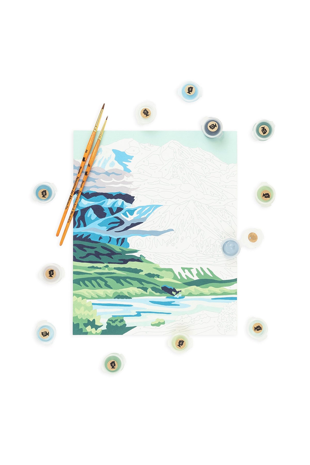 Denali National Park | 8x10 paint-by-number kit